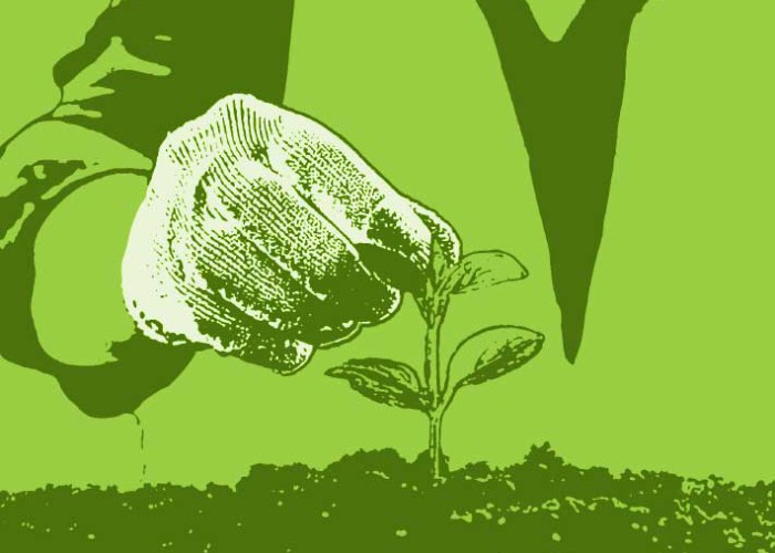 pics button policies safetyquality v2